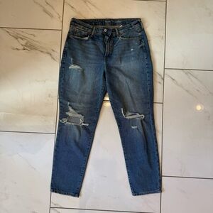 Old Navy High Rise O.G. Straight Jeans